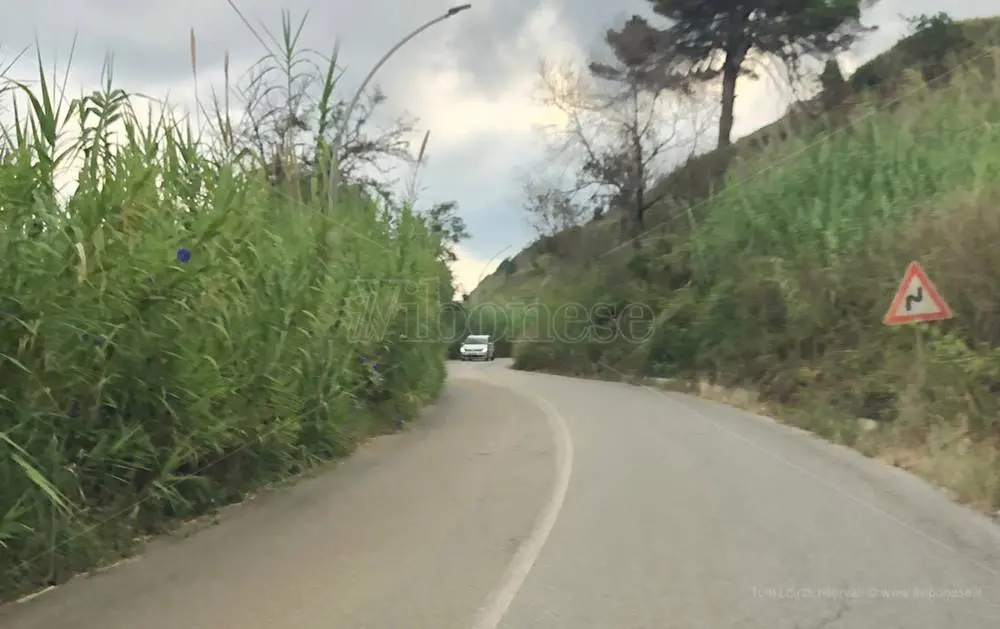 Sicurezza sulla ex statale 522, a Briatico associazioni e sindaci si mobilitano: presto un tavolo tecnico e un documento unico\n