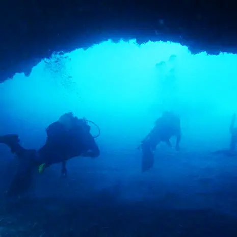 Riaprono i diving center, i fondali di Briatico e Zambrone svelano i loro tesori - Video