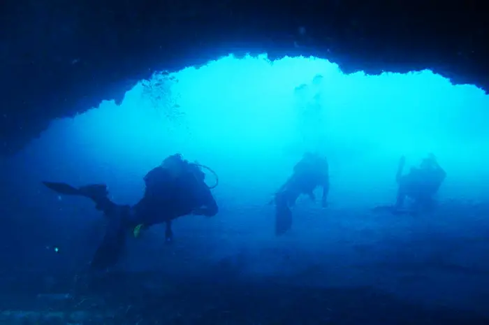 Riaprono i diving center, i fondali di Briatico e Zambrone svelano i loro tesori - Video
