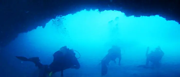 Riaprono i diving center, i fondali di Briatico e Zambrone svelano i loro tesori - Video