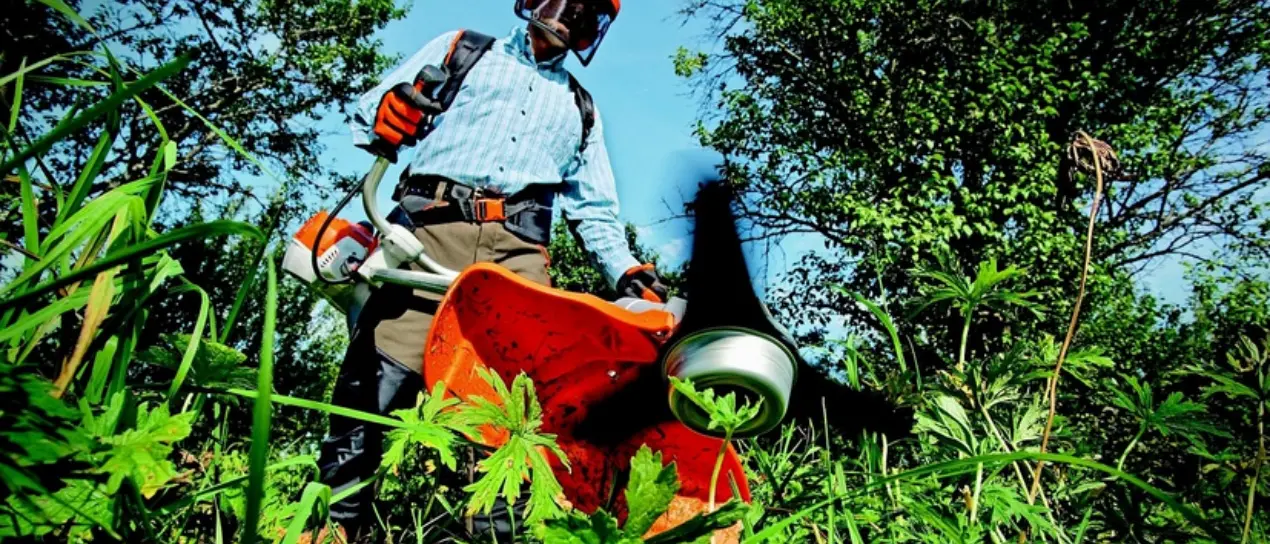 Pulizia e manutenzione del verde pubblico, il Comune di Briatico pubblica un bando per l'affidamento del servizio