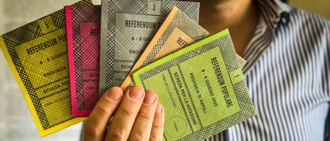 Referendum su lavoro e cittadinanza, Marasco (Pd Vibo): «Affluenza deludente, colpa del silenzio mediatico»