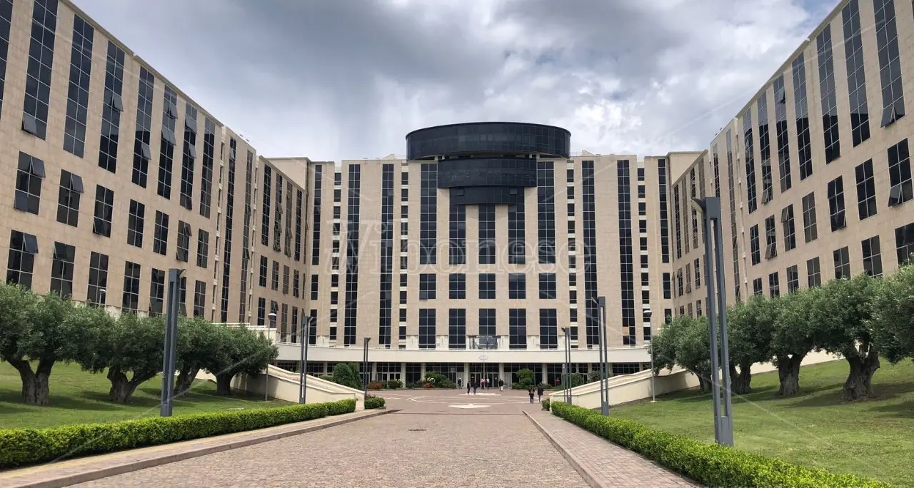 Sanità,\u00A0Dario Padrone è il nuovo direttore amministrativo di Azienda Zero\n