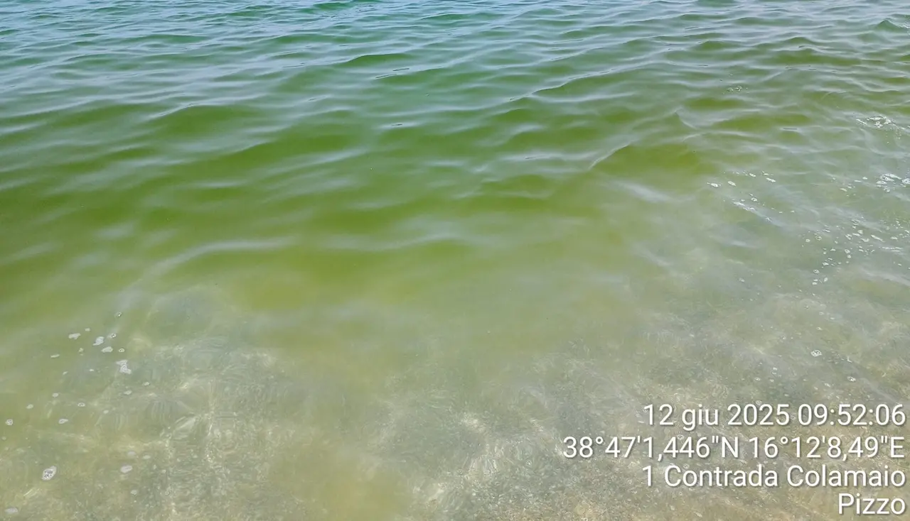 A Pizzo il mare è già verde. Arpacal: «Microalghe proliferano con il cambiamento climatico. E andrà sempre peggio»