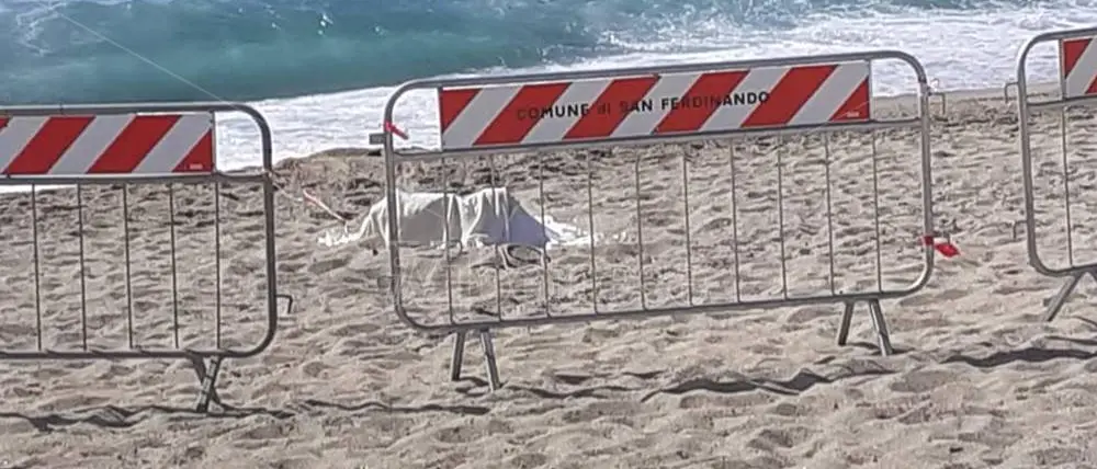 Ufficiale: lo scheletro è di Vito Lo Iacono. Senza fine l’incubo della famiglia Vangeli