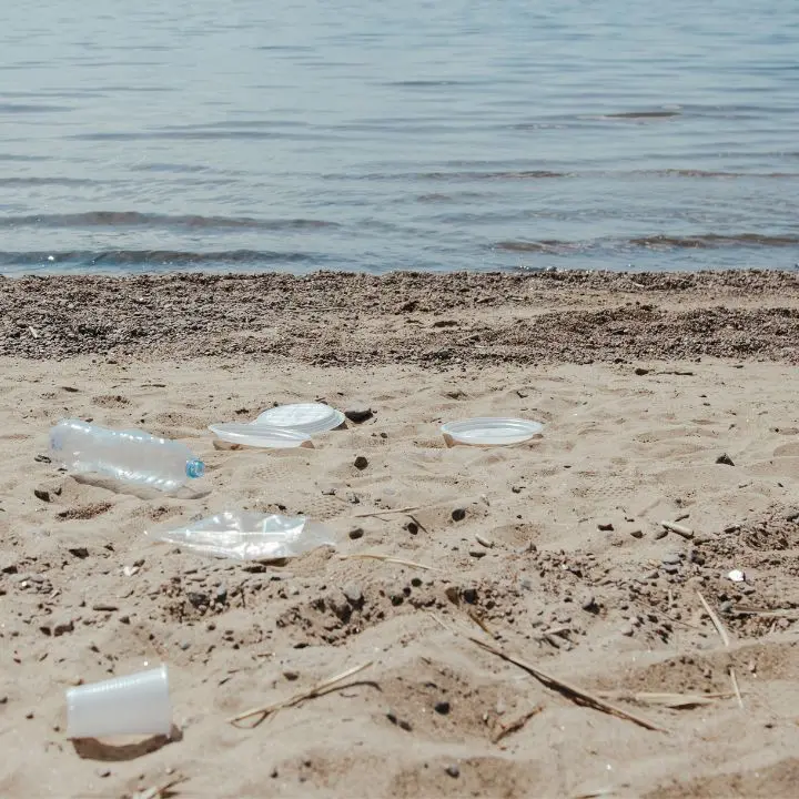 Sulle spiagge vibonesi buste di plastica e contenitori di polistirolo che arrivano da tutto il Mediterraneo