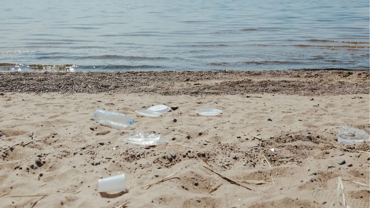 Sulle spiagge vibonesi buste di plastica e contenitori di polistirolo che arrivano da tutto il Mediterraneo