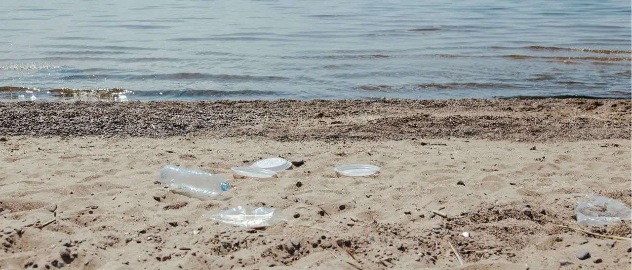 Sulle spiagge vibonesi buste di plastica e contenitori di polistirolo che arrivano da tutto il Mediterraneo