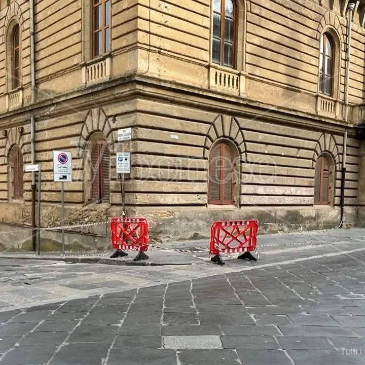 Cadono calcinacci, Palazzo Gagliardi - De Riso interamente transennato. Barbuto (ex Vibo Sviluppo): «La Provincia spenda i soldi che ci sono». L'Andolina: «Non sa che dice»