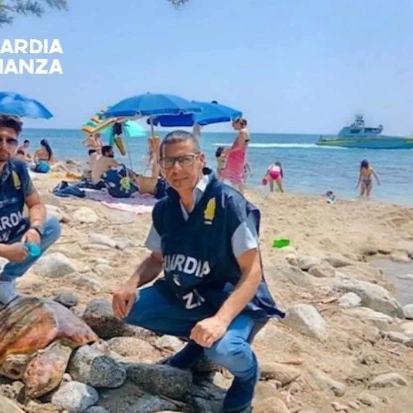 Joppolo, tartaruga marina con una pinna ferita soccorsa e salvata sulla spiaggia di Coccorino