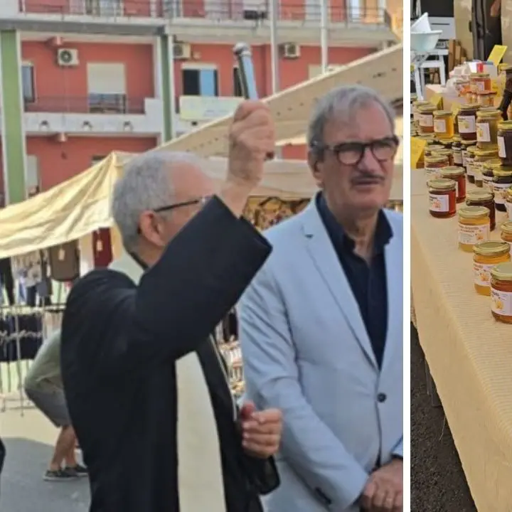 Inaugurato il mercatino rionale dell'Affaccio a Vibo, Romeo e Soriano: «Commercio di prossimità valorizza prodotti locali e quartiere»
