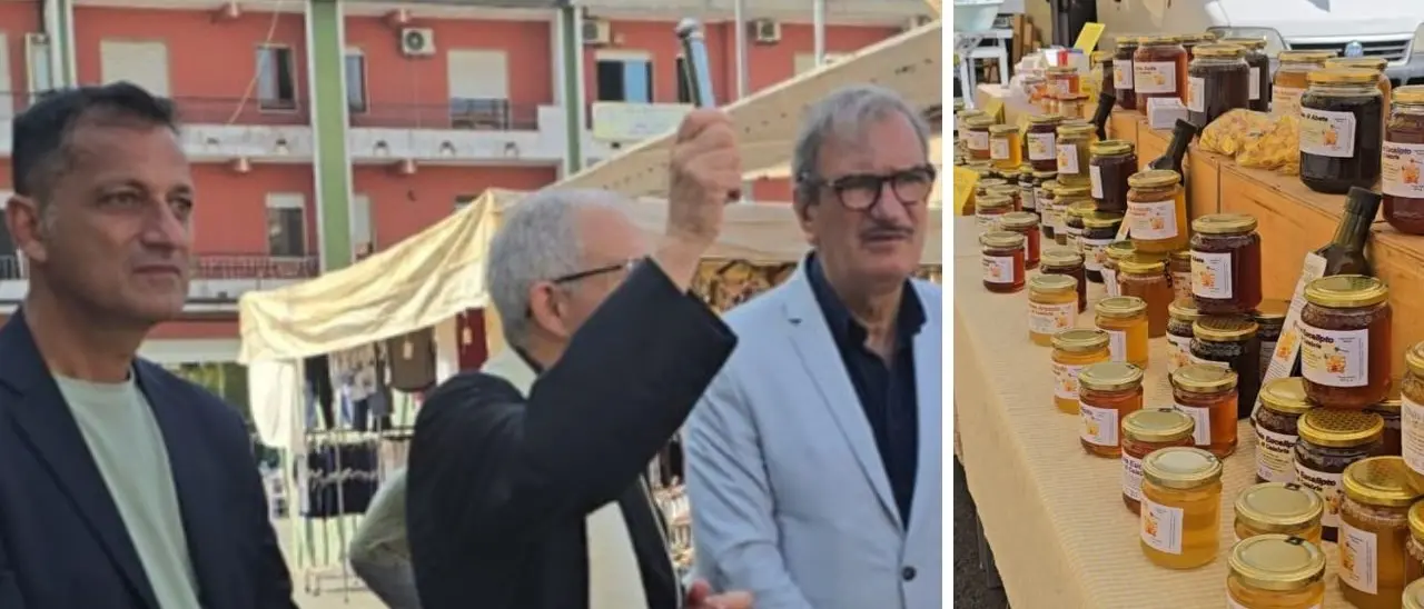 Inaugurato il mercatino rionale dell'Affaccio a Vibo, Romeo e Soriano: «Commercio di prossimità valorizza prodotti locali e quartiere»