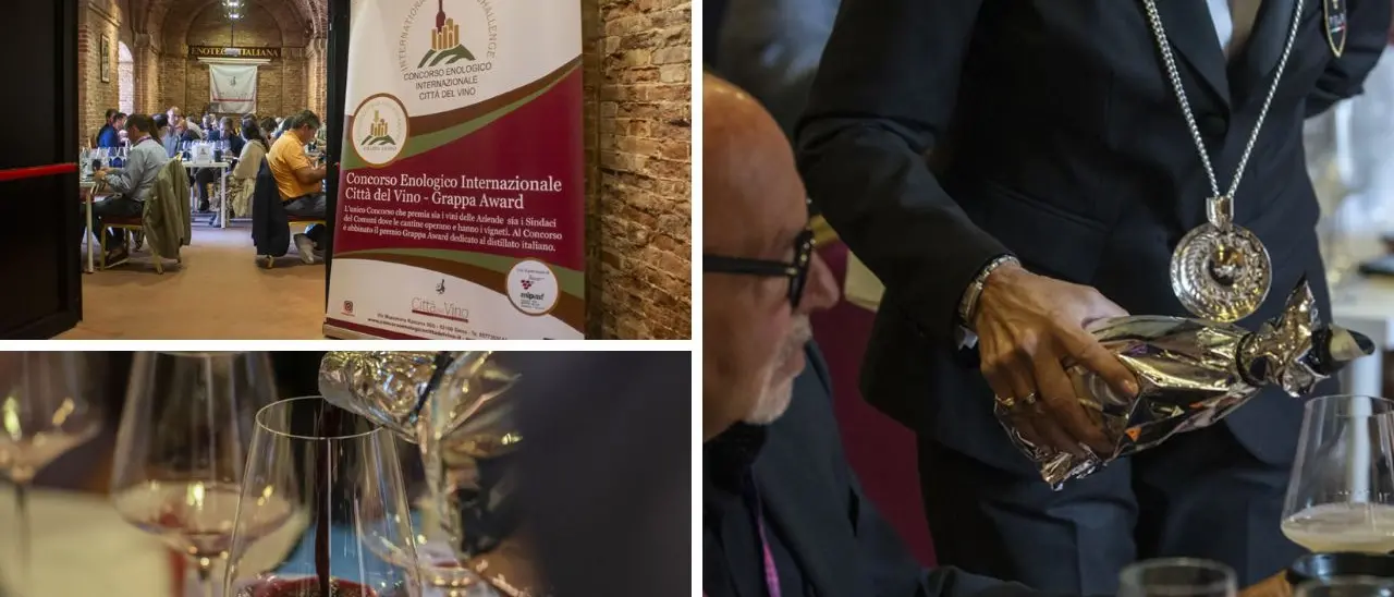 Vini vibonesi tra premi internazionali e una nuova Doc: Zibibbo e Magliocco canino conquistano ancora una volta la scena enologica