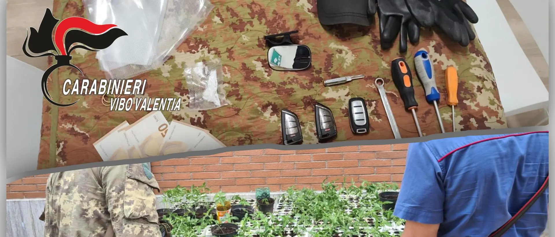 Droga, due operazioni a Filandari e Nardodipace: in manette una donna per spaccio di cocaina e un uomo che coltivava marijuana
