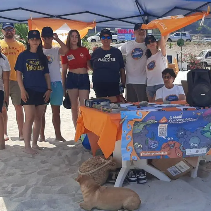 A Parghelia la prima tappa vibonese della campagna nazionale di Lav \"Il mare è la loro casa\"