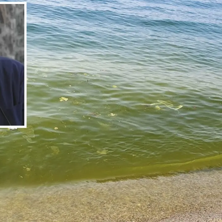 Inquinamento, il biologo Greco: «Depuratori? Sono solo il 30% del problema. La colpa è degli scarichi illegali che arrivano a mare»