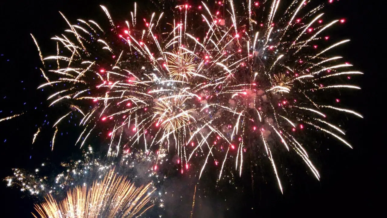 Fuochi d'artificio per festeggiare la scarcerazione del marito: denunciata dai carabinieri
