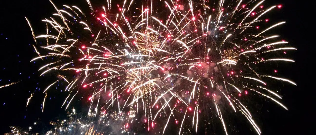 Fuochi d'artificio per festeggiare la scarcerazione del marito: denunciata dai carabinieri