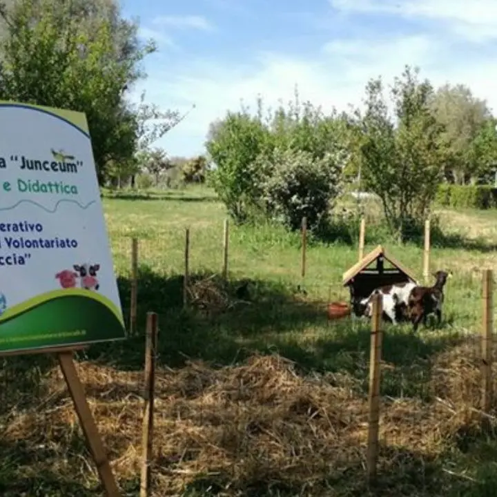 Vibo, ai nastri di partenza la rassegna estiva \"La Fattoria delle idee\" giunta alla quarta edizione. Ecco il programma