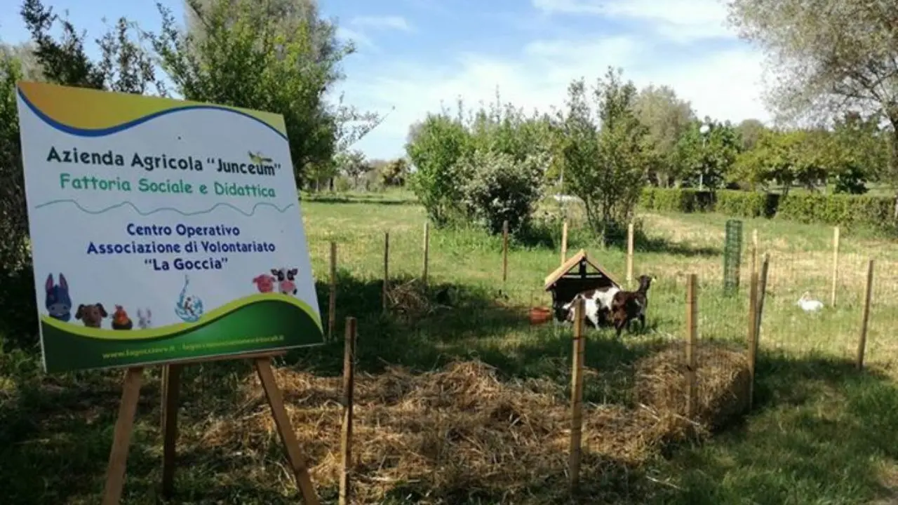 Vibo, ai nastri di partenza la rassegna estiva \"La Fattoria delle idee\" giunta alla quarta edizione. Ecco il programma