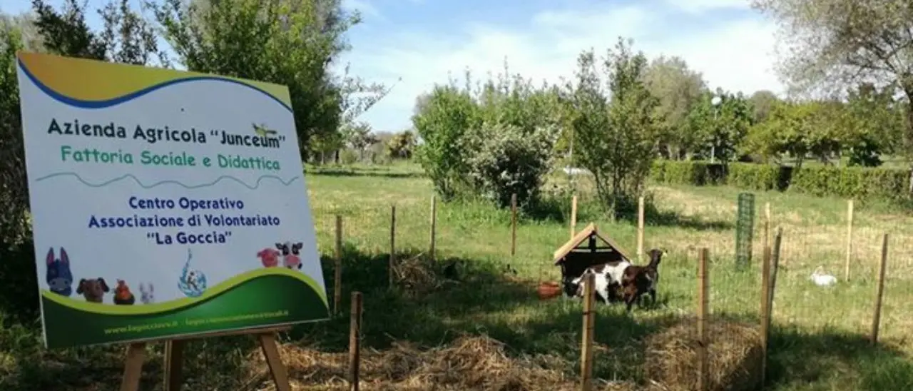 Vibo, ai nastri di partenza la rassegna estiva \"La Fattoria delle idee\" giunta alla quarta edizione. Ecco il programma