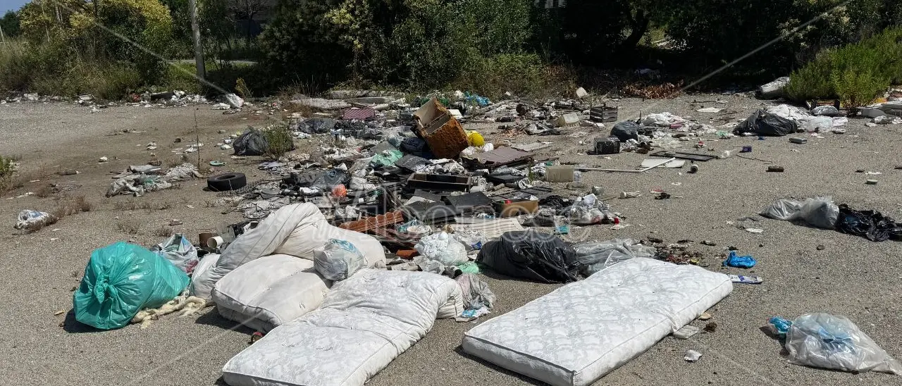 La zona industriale di Vibo verso la bonifica? Il Comune tratta con il Corap per mettere fine ad anni di abbandono