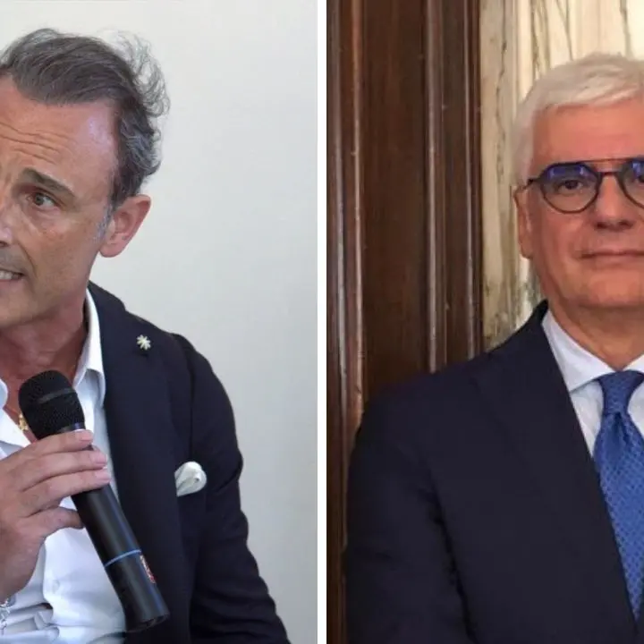 Alfonsino Grillo indagato con Daffinà: alla guida del Parco delle Serre da 3 anni, l’intercettazione che lo rassicura sulla proroga