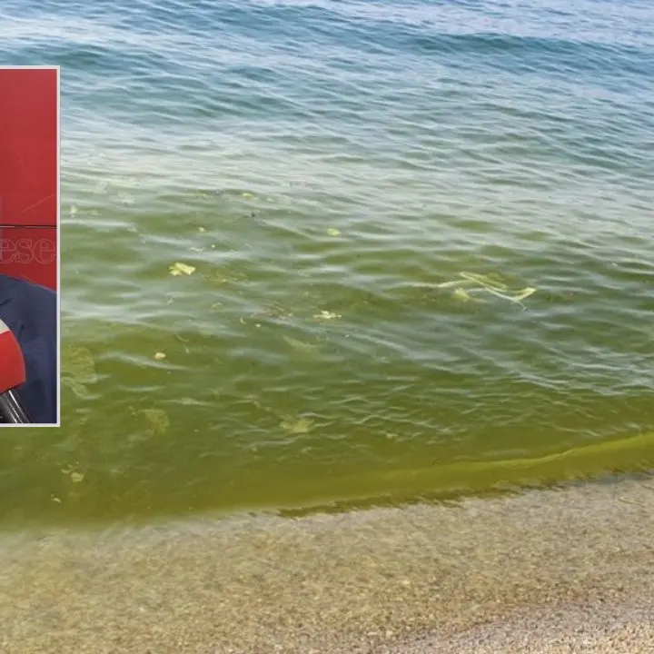 Mare sporco nel Vibonese, Mammoliti interroga Occhiuto: «Servono interventi strutturali, che fine hanno fatto i 18 milioni già stanziati?»