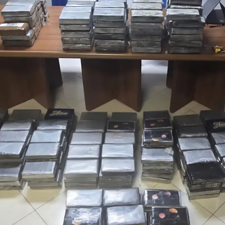 Ancora un maxi sequestro di cocaina al porto di Gioia: quasi mezza tonnellata di droga per un valore di circa 67 milioni di euro - VIDEO