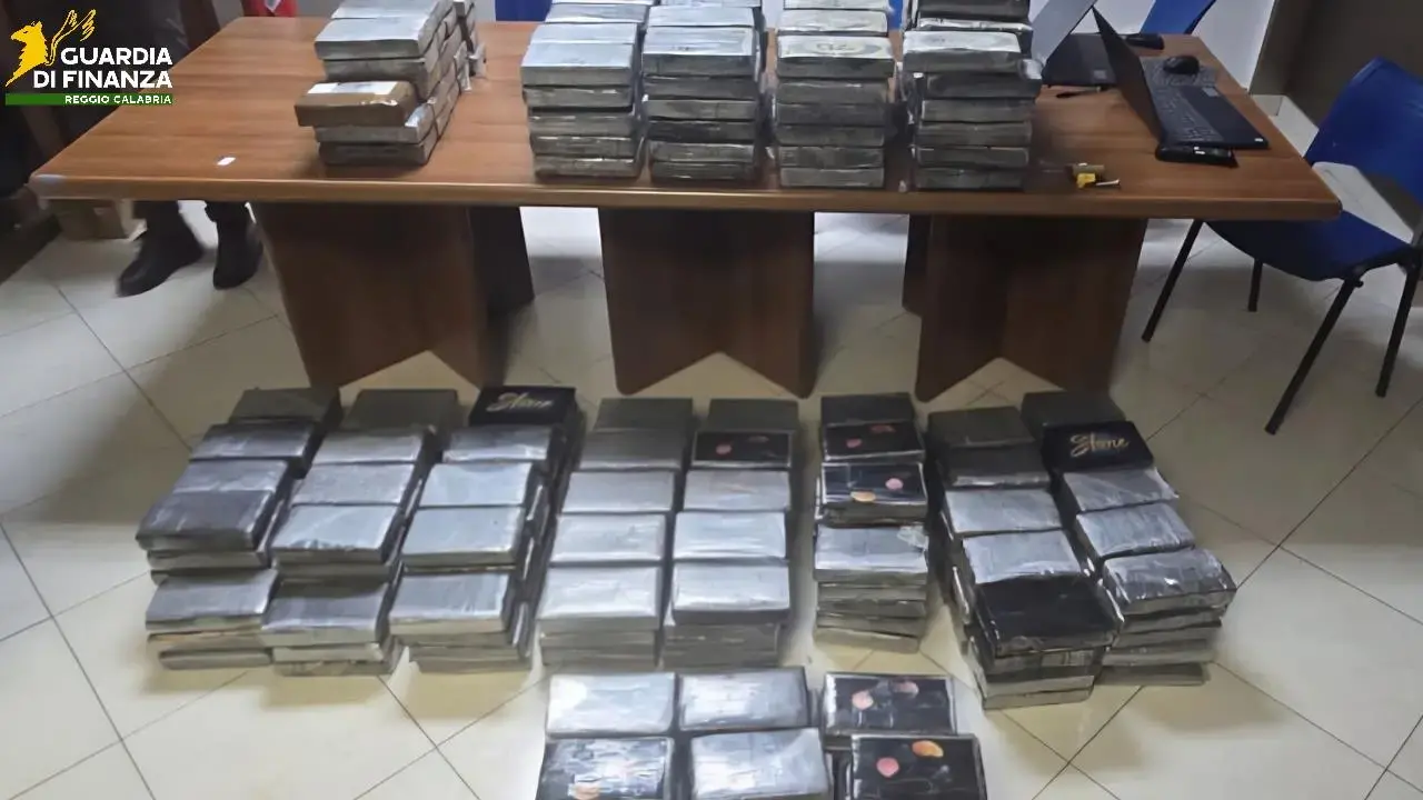 Ancora un maxi sequestro di cocaina al porto di Gioia: quasi mezza tonnellata di droga per un valore di circa 67 milioni di euro - VIDEO