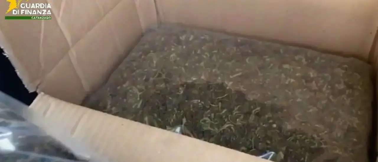 Vibonese sorpreso in auto sull’A2 con 8 chili di marijuana: lo stupefacente scoperto grazie ai segnali lanciati dal cane antidroga