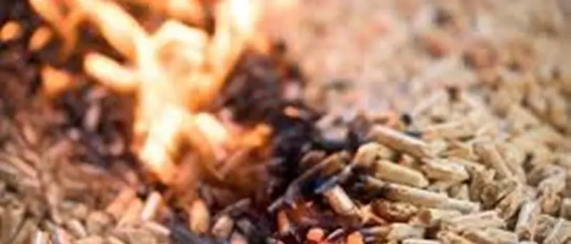 Calabria, sequestrate 75 tonnellate di pellet contraffatto: due indagati - Video
