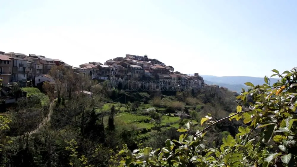 A Monterosso l’iniziativa “Abbraccia un albero” per dire no al parco eolico