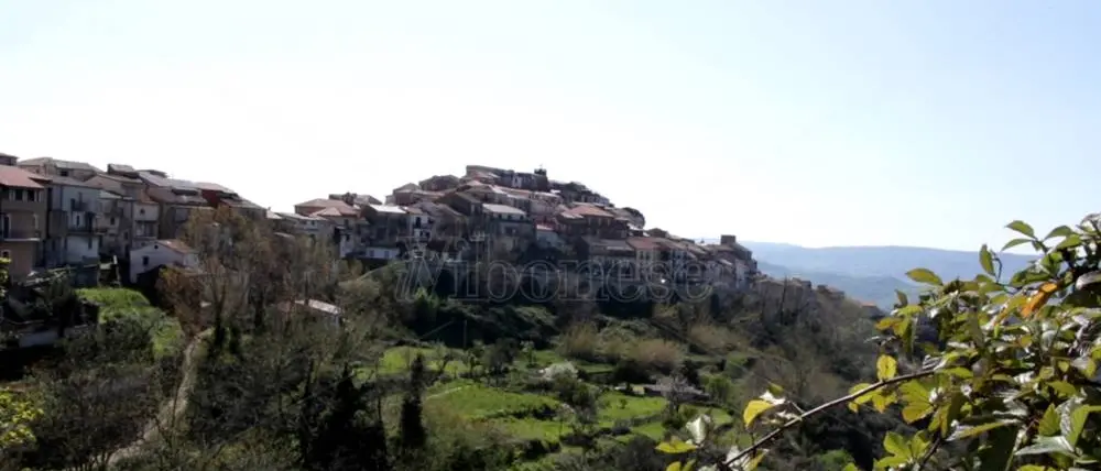 A Monterosso l’iniziativa “Abbraccia un albero” per dire no al parco eolico