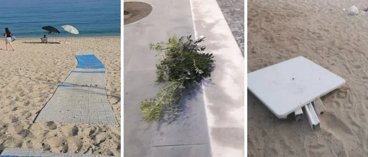 Ondata di atti vandalici a Vibo, in piazza Municipio tagliati i rami di un albero appena piantato: «Responsabile individuato». E il Comune installa altre videocamere, ecco dove