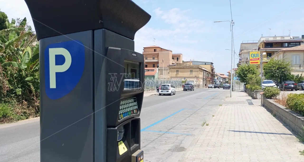 «Da Vibo Marina 240mila euro tra multe e strisce blu, che fine fanno?»: Schiavello (Fdi) presenta il “conto” al\u00A0Comune\n