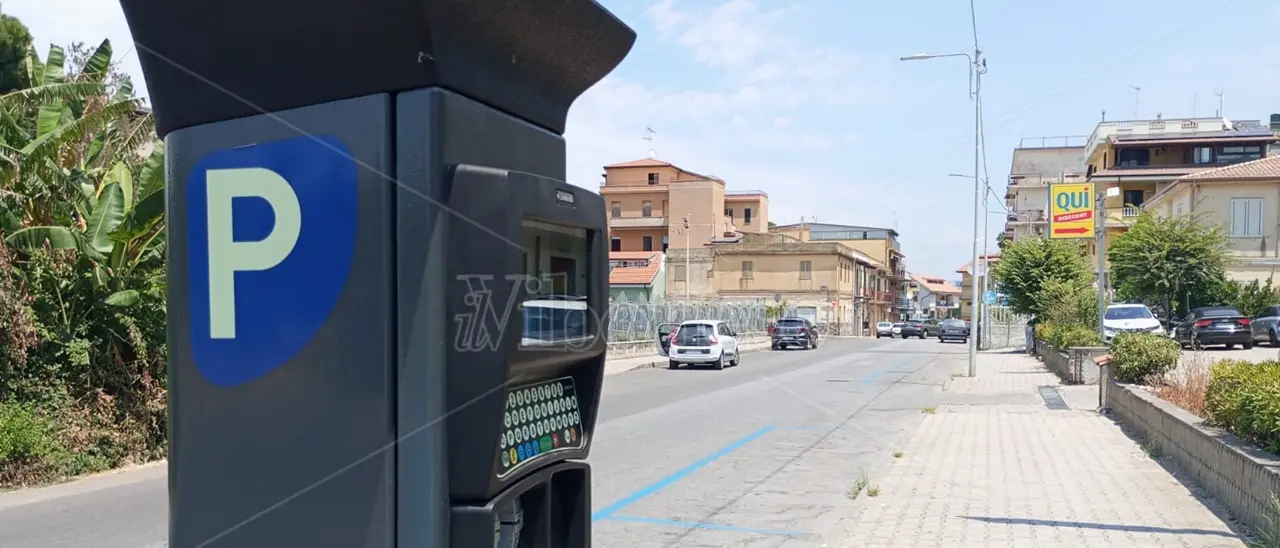 «Da Vibo Marina 240mila euro tra multe e strisce blu, che fine fanno?»: Schiavello (Fdi) presenta il “conto” al\u00A0Comune\n
