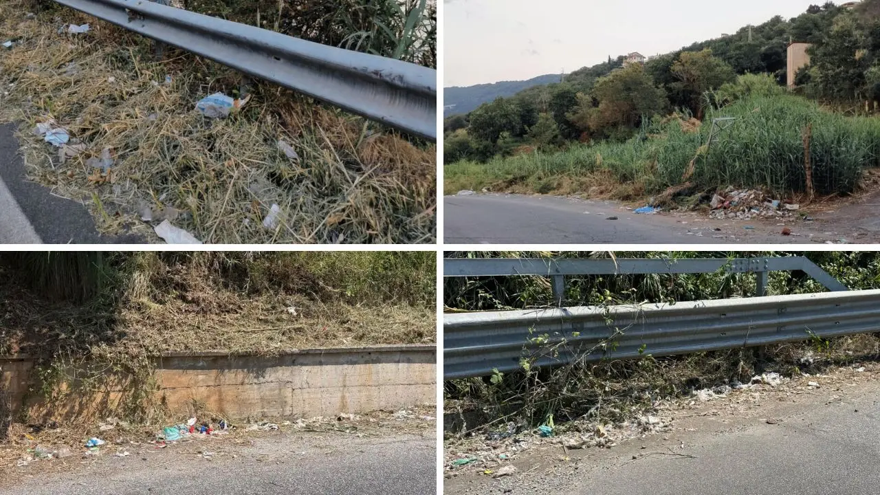 Rifiuti sminuzzati e sparpagliati lungo la strada tra Vibo Marina e Pizzo: l’intervento di sfalcio è un disastro, turisti (ma non solo) sconcertati