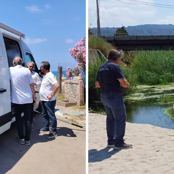 Mare di Nicotera tra fioritura algale e fossi inquinati. Il sindaco: «Liquami nel Mesima dai Comuni a monte»