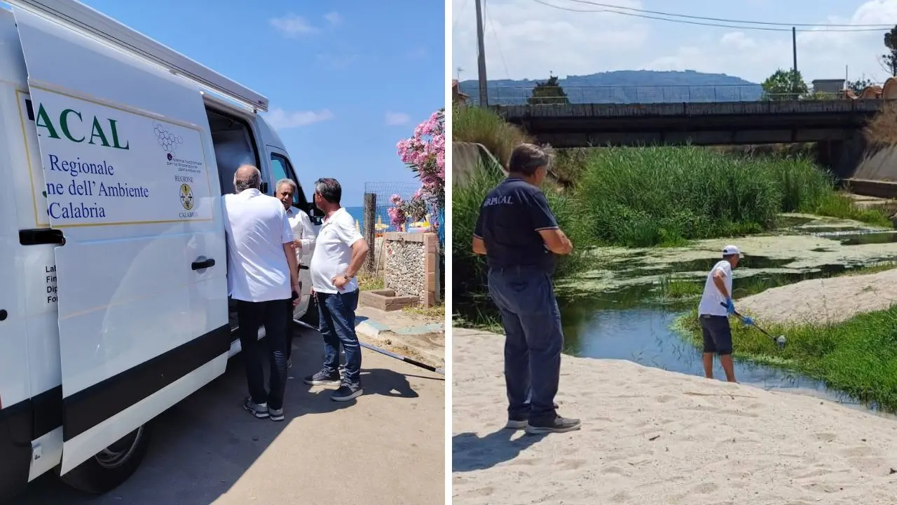 Mare di Nicotera tra fioritura algale e fossi inquinati. Il sindaco: «Liquami nel Mesima dai Comuni a monte»