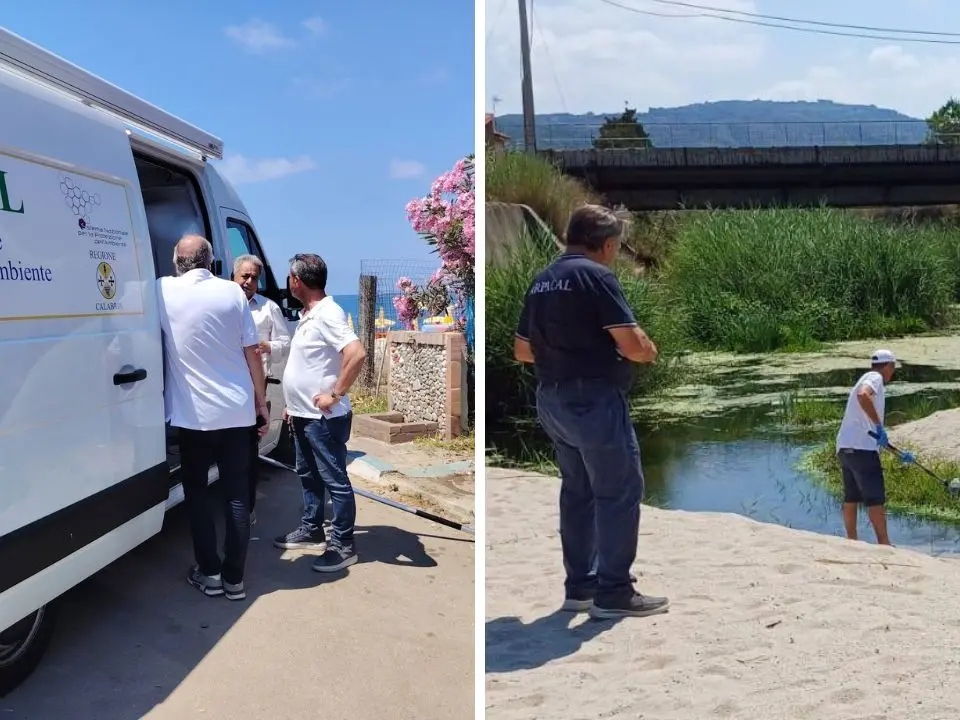 Mare di Nicotera tra fioritura algale e fossi inquinati. Il sindaco: «Liquami nel Mesima dai Comuni a monte»