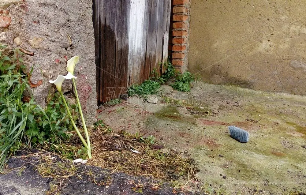 La mamma di Francesco Palmieri ucciso a Mileto: «Chi ha visto parli» - Video