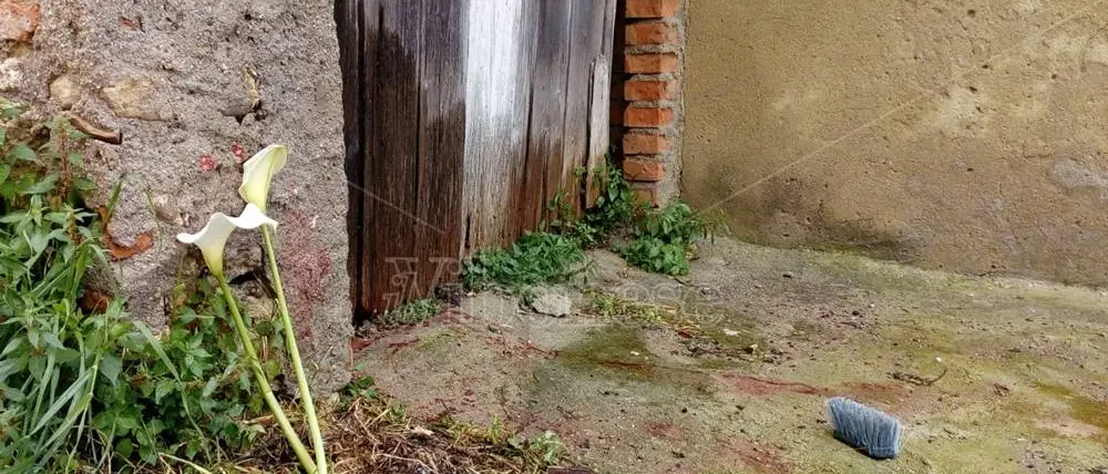 La mamma di Francesco Palmieri ucciso a Mileto: «Chi ha visto parli» - Video