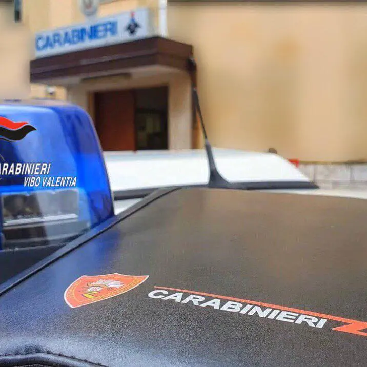 False attestazioni per i buoni spesa Covid, 478 persone segnalate alla Procura di Vibo - Video