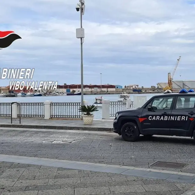 Brutale aggressione a Vibo Marina, il gip ordina un arresto -Video