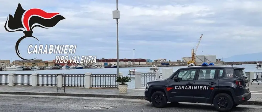 Brutale aggressione a Vibo Marina, il gip ordina un arresto -Video