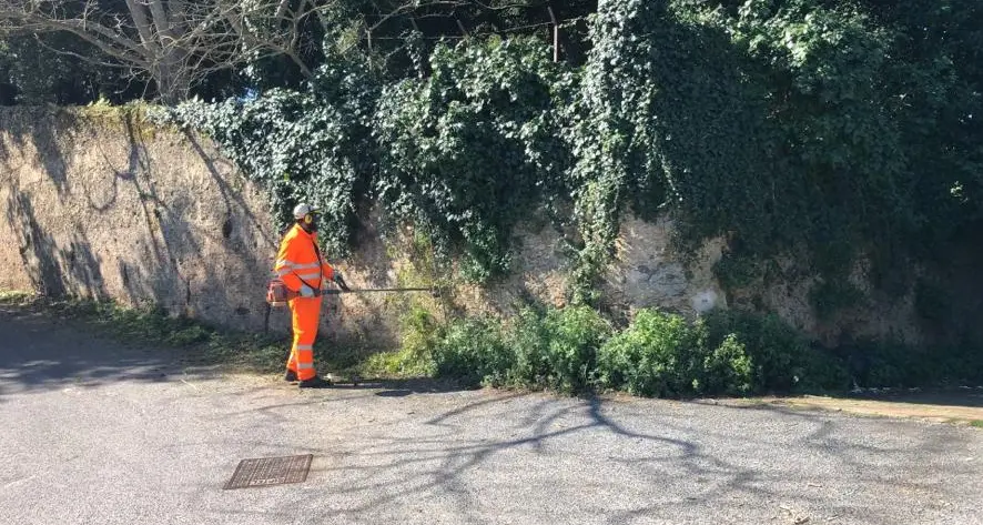 Rende, prosegue il piano per il verde pubblico: online il calendario degli interventi\n