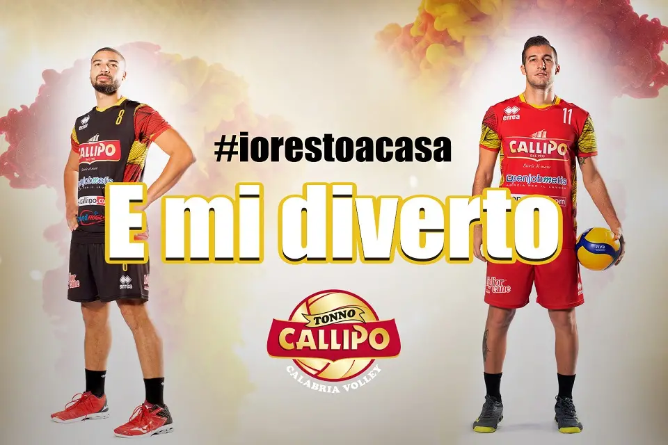 sandwich on wood background