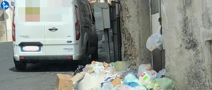 Cumuli di rifiuti in alcune vie di Vibo Valentia – Foto
