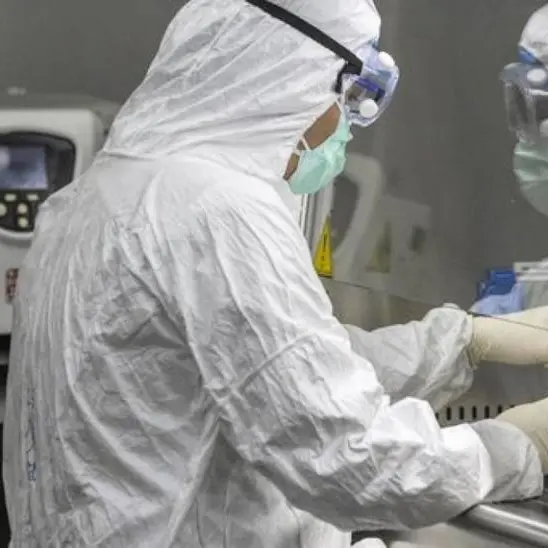 Covid, in Calabria crollano i contagi (89) ma anche i tamponi